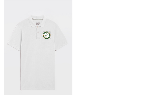 Timeless Solid 210 GSM Regular Fit Polo T-Shirt - Premium Pique Knit with Anti-Curl Collar & Breathable Comfort
